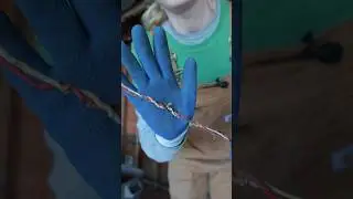we took all the electricity out of our house