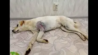 Мама, моя Надя приехала...))  Наша Надежда 2022