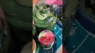 Кроме сада у меня есть ещё и огород🙂#дача #garden#сад#огород #цветы#закрутки