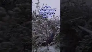 Не ждали...