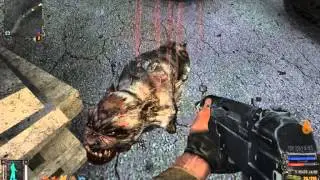 S.T.A.L.K.E.R.: Тень Чернобыля (ч.25)