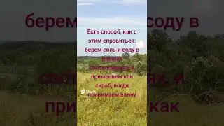 Гигиена 🚿🧽🌺