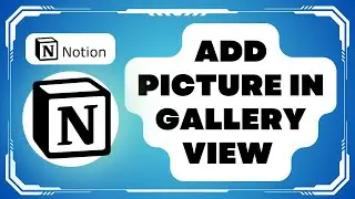 How To Add Picture In Gallery View Notion !