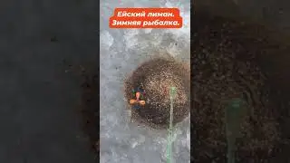 Ейск.  Зимняя рыбалка 2024. Первые рыбаки на льду. Лёд, тарань?