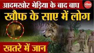 Wolf Attack In UP : आदमखोर भेड़िया के बाद बाघ | Tiger Attack In Lakhimpur | Bahraich News | UP News