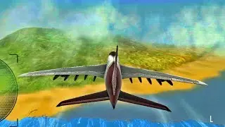 Extreme Airplane Landing in Beach