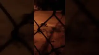 А всё бегут, бегут, бегут и я бегу...