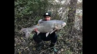 Тестуєм спінінг FavoriteX1-762M і SelectViper 2500S.Ууух і Звір клюнув.Рибалка з Бонусом(15.5кг)!!!