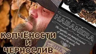 Обзор на Habanera Italy Kentucky