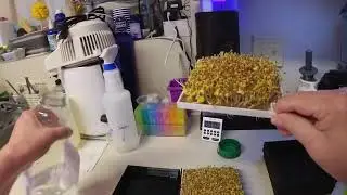 growing microgreens on PTFE 3D printed growing trays