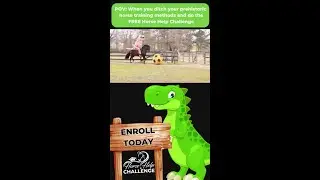 With the Horse Help Challenge You Can Have The Horse Of Your Dreams | The Horse Guru-Michael Gascon
