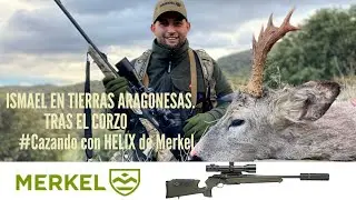 CAZANDO CON MERKEL HELIX 