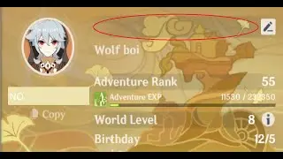 Found a way to make Any name invisible in Genshin impact