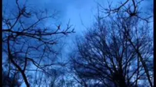 Dun Annun - Winter Wood