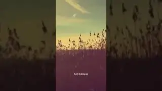 Tum Jo Chale Ate Ho ~ Aesthetic