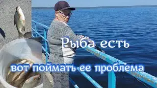 Горе рыбаки.