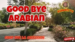 GOOD BYE LA COLECCION