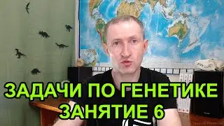Задачи по генетике - 6. Дигибридное скрещивание. Третий закон Менделя