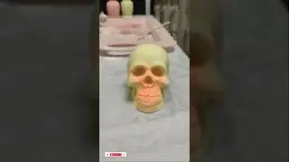 череп skull