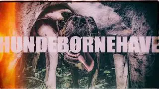 Hundestuen