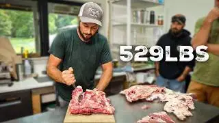 Butchering 529 pounds of Beef (in a day)