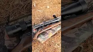 CZ 457 Lux .22LR (PART 4) FEDERAL CHAMPION #shorts #22lr #plinking #targetshooting #rimfire #cz457