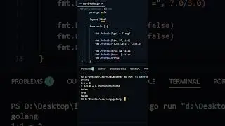 Value Types in GoLang 😎  | Day 2 of 90 Days Challenge 💻