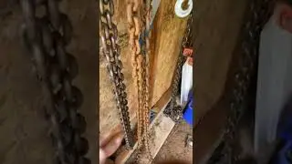 Bargain chain comes with a surprise