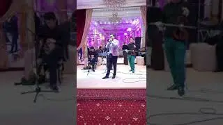 Бачаи Кобилчон Зарипов