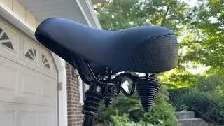 Lectric XP Lite - 100 mile update