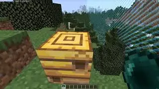 Minecraft как попасть в улей?