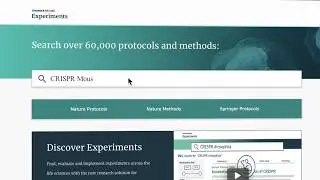Preview Springer Nature Experiments