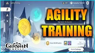 Genshin Impact : Agility Training | Shadows Amidst Snowstorms