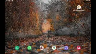 AntiBAG. Как перенести на другое устройство,без Google Play.