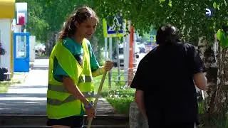 Трудовое лето в разгаре!