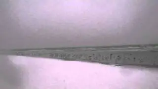 Birds Snow.MP4