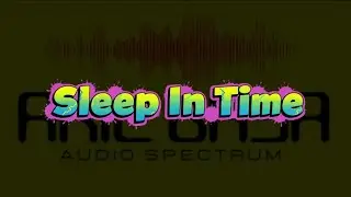 Audio Spectrum Sleep In Time