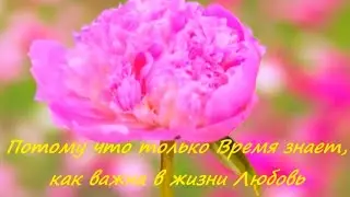 Только Время знает, как важна в жизни Любовь 