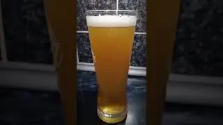 Pineapple Weizenbock Homebrew #homebrewing