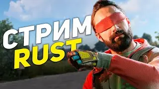 Выживаем с нуля на стриме с 