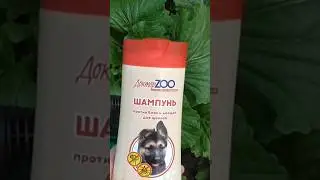 ОТ БЛОХ НА Капусте избавит 100% Лучший способ