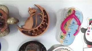 МОИ МАГНИТЫ И ИХ РОДОСЛОВНАЯ.