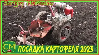 Посадка картофеля 2023 /Маленький участок. Potato planting 2023 /Small plot