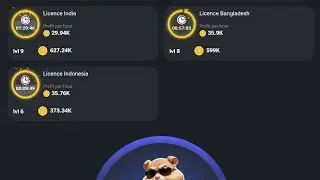 Hamster Kombat 🐹 | If You're Mining Hamster Kombat Watch This!!!. 5,000,000 🪙 for grab