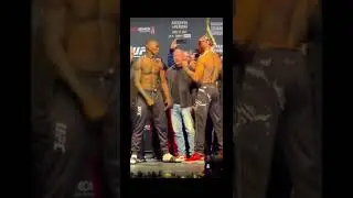 Israel Adesanya and Alex Pereira final face off before UFC281 #shorts #ufc #mma #israeladesanya #fyp