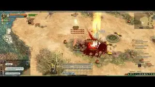 Pyromancer Circle 3 High Level can solo any map Tree Of Savior