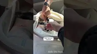 Easy bunny RHDV vaccination 💉