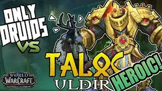 Only Druid Uldir Heroic: Taloc