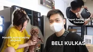 Beli Kulkas | Unboxing Paket dari Youtube | Mandiin Anjing - Daily Vlog