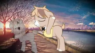 PMV|Counting Sheep|